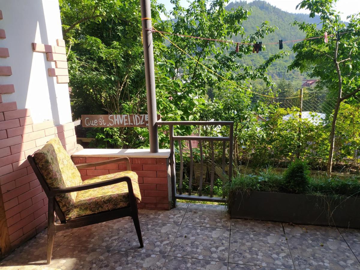 Guest House Shvelidze Borjomi Εξωτερικό φωτογραφία