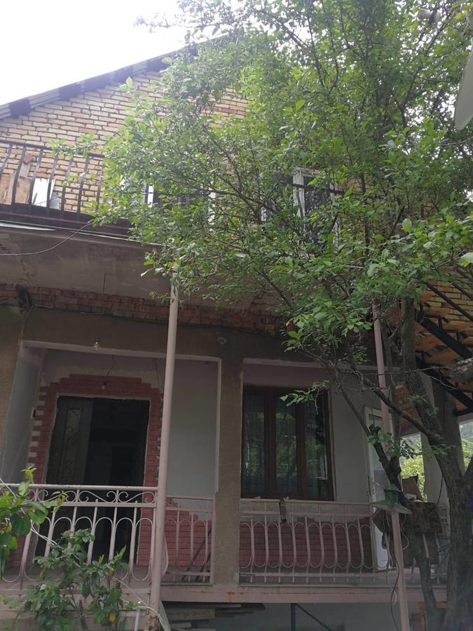 Guest House Shvelidze Borjomi Εξωτερικό φωτογραφία