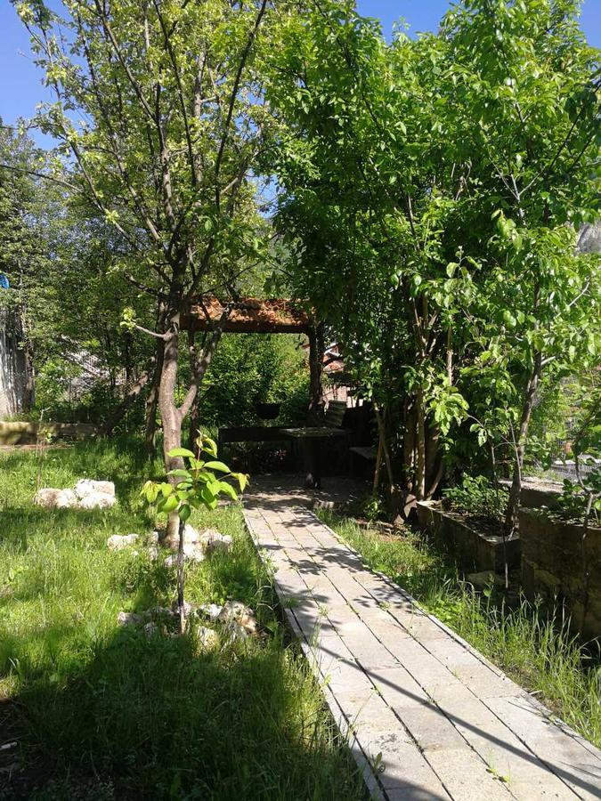 Guest House Shvelidze Borjomi Εξωτερικό φωτογραφία