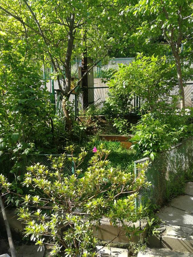 Guest House Shvelidze Borjomi Εξωτερικό φωτογραφία
