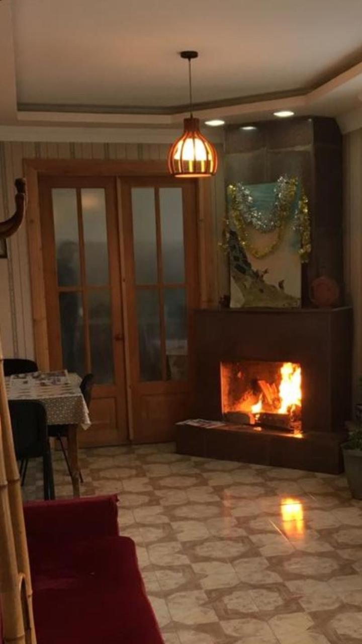 Guest House Shvelidze Borjomi Εξωτερικό φωτογραφία
